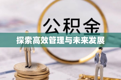 孝感探索高效管理与未来发展