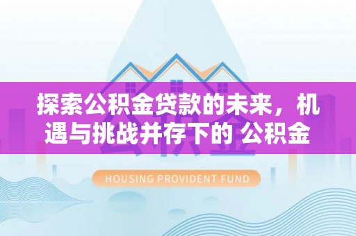 孝感探索公积金贷款的未来，机遇与挑战并存下的 公积金贷款风险防控