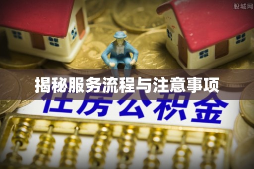 孝感揭秘服务流程与注意事项