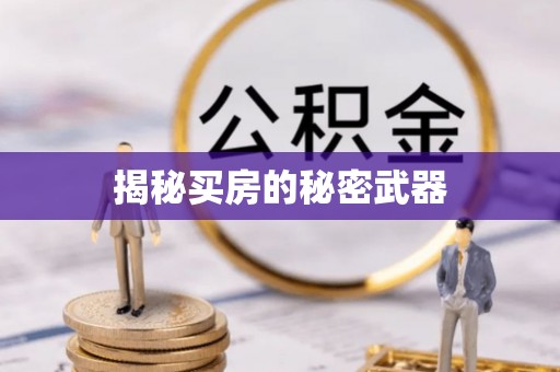 孝感揭秘买房的秘密武器
