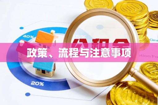 孝感政策、流程与注意事项