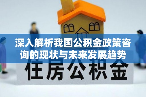 孝感深入解析我国公积金政策咨询的现状与未来发展趋势