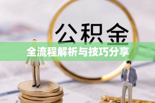 孝感全流程解析与技巧分享